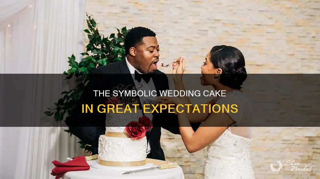 what does the wedding cake symbolize in great expectations