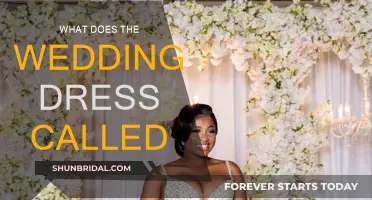 The Evolution of Wedding Dresses: What Are They Called?
