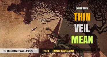 Understanding the Thin Veil: Exploring Its Meaning and Significance in Culture