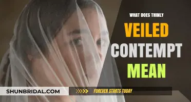 Understanding Thinly Veiled Contempt: Unmasking Hidden Disdain in Everyday Interactions