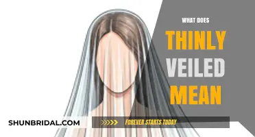 Uncovering the Meaning: What Does 'Thinly Veiled' Really Imply?