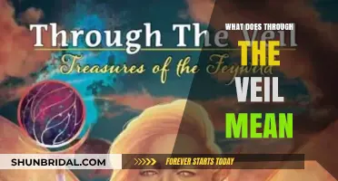 Understanding the Mystical Phrase: What Does 'Through the Veil' Mean?