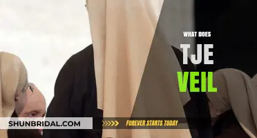 Unveiling the Mystery: What Does the Veil Symbolize in Culture?