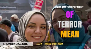Veiling the Threat of Terror: Unmasking Hidden Dangers and Societal Implications