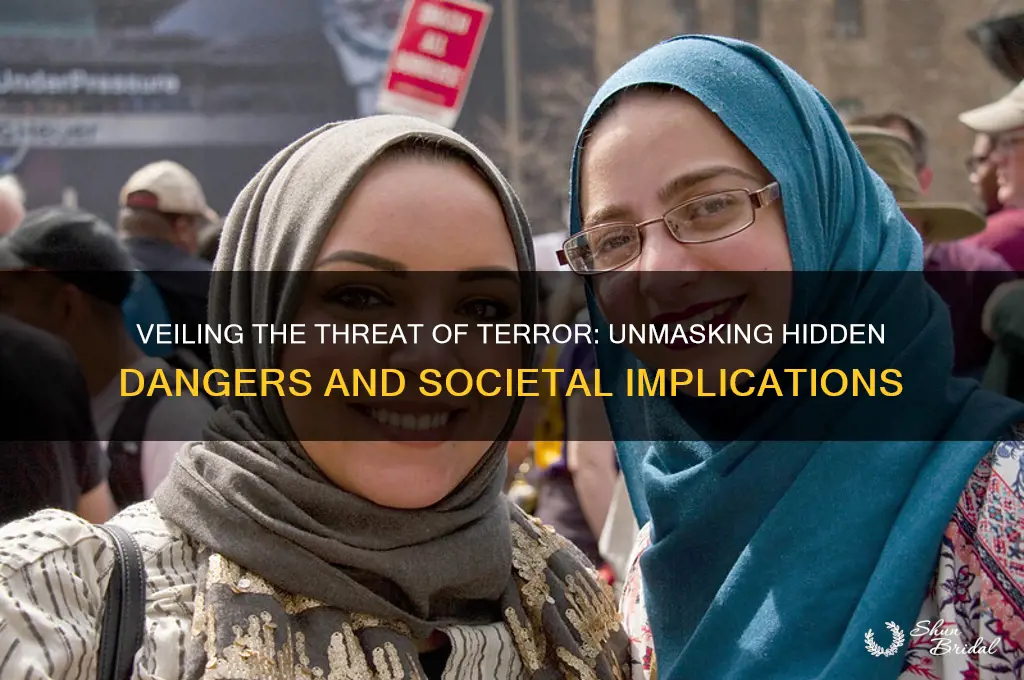 what does to veil the threat of terror mean