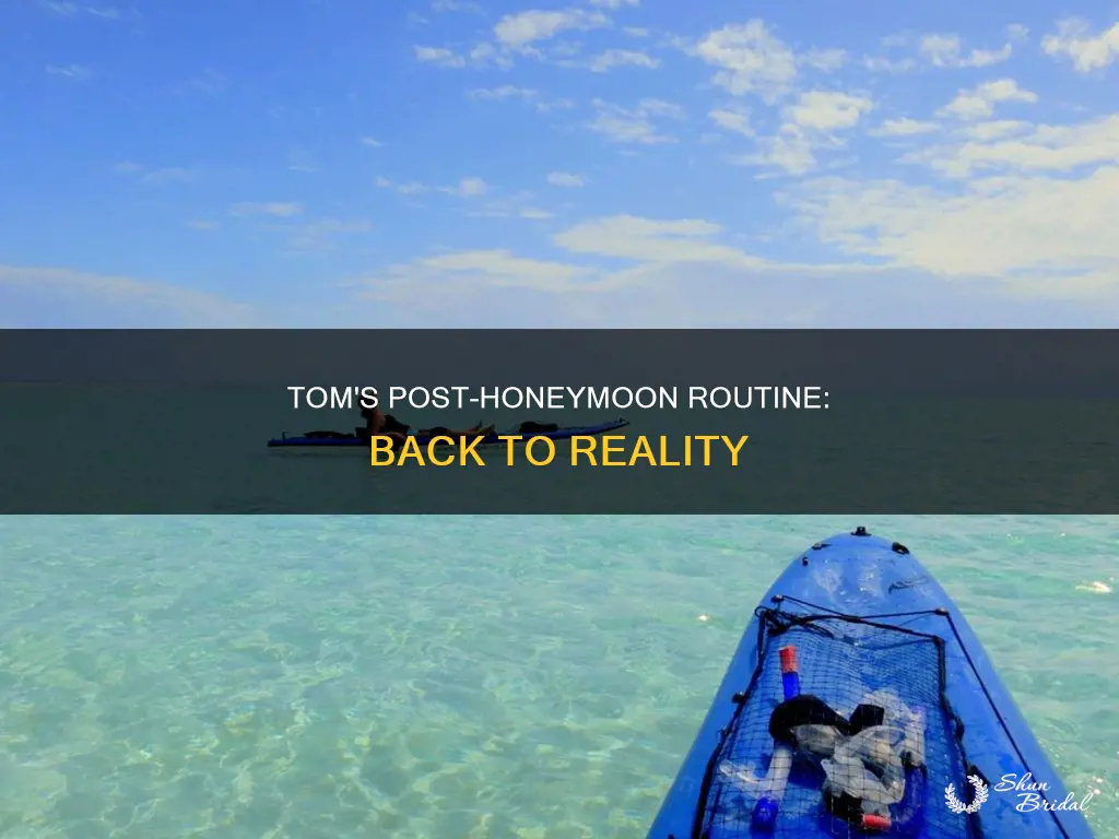 what does tom do when he returns from the honeymoon