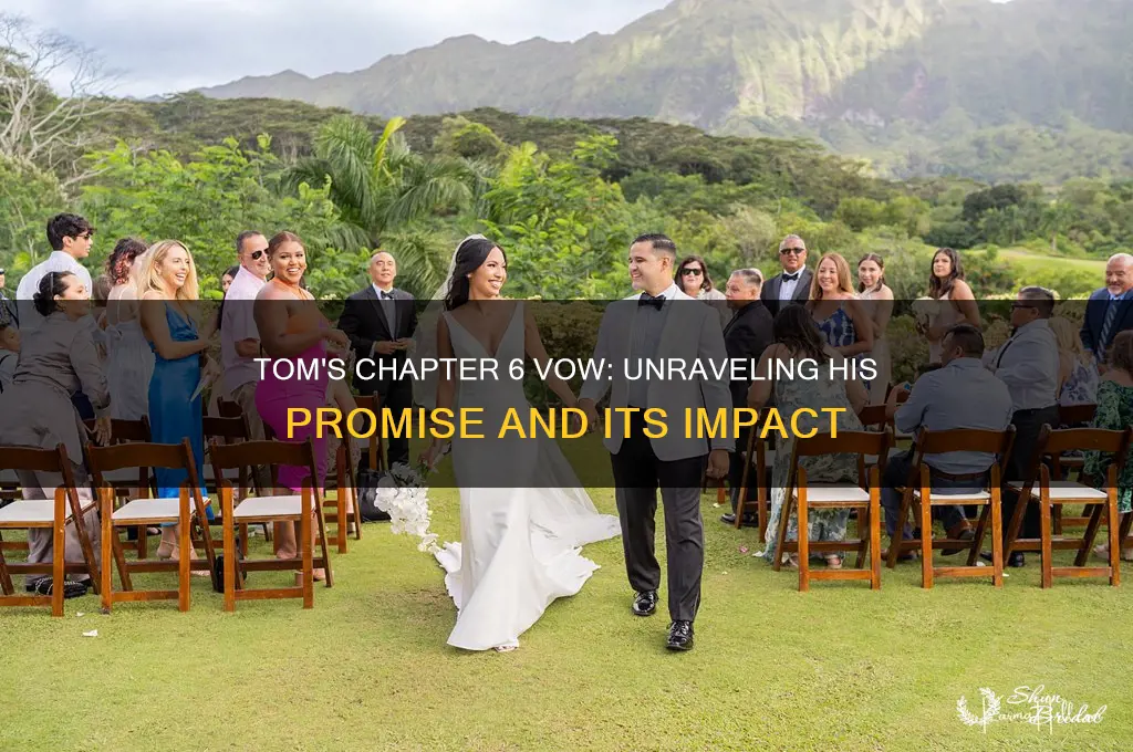 what does tom vow in chapter 6