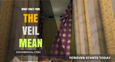 Tore the Veil": Unveiling the Meaning Behind the Powerful Phras