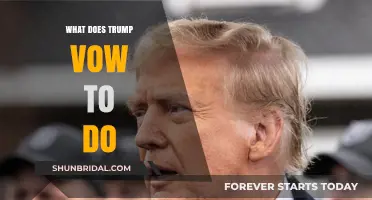 Trump's Bold Vows: Unpacking His Promises and Potential Impact