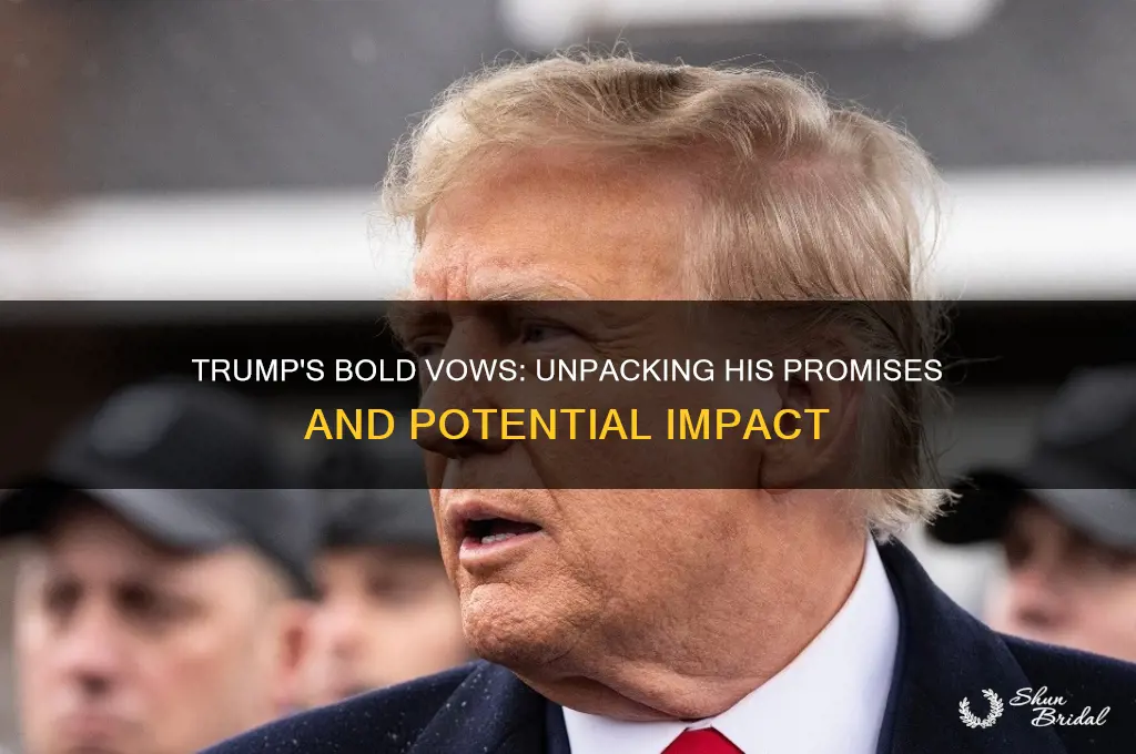 what does trump vow to do
