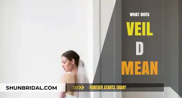 Understanding Veil D: Decoding the Meaning and Significance