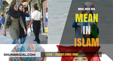 Understanding the Veil in Islam: Significance, Types, and Cultural Context