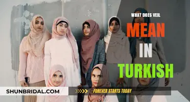 Understanding the Meaning of Veil in Turkish Culture and Language
