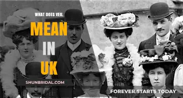 Understanding the Veil's Cultural and Legal Significance in the UK