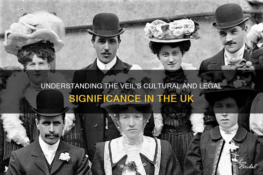 what does veil mean in uk