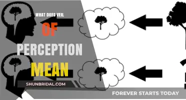 Unveiling the Veil of Perception: Understanding Reality's Subjective Lens