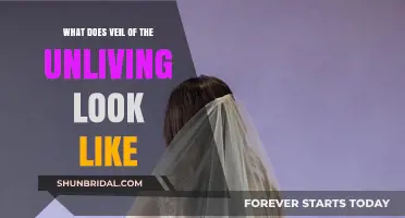 Unveiling the Veil of the Unliving: A Haunting Visual Guide