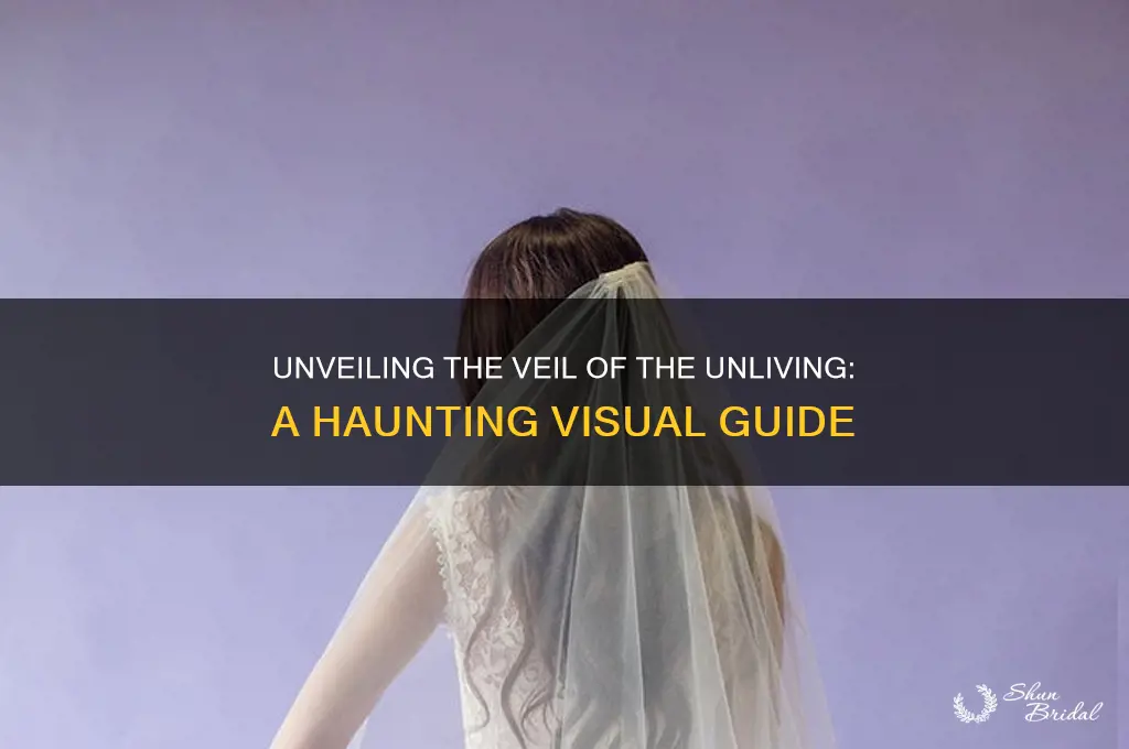 what does veil of the unliving look like