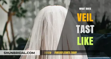 Unveiling the Mystery: What Does Veil Taste Like?