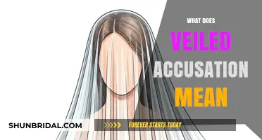 Uncovering the Hidden Meaning: Understanding Veiled Accusations and Their Impact