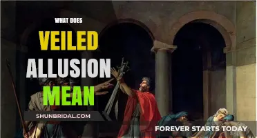 Understanding Veiled Allusions: Decoding Subtle References in Language and Literature
