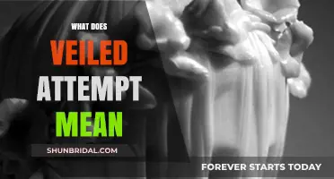 Decoding Veiled Attempts: Understanding Subtle Communication and Hidden Intentions