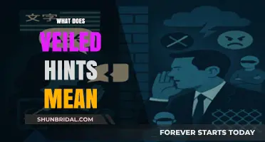 Decoding Veiled Hints: Understanding Subtle Communication and Hidden Meanings