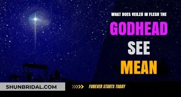 Veiled in Flesh: Unveiling the Meaning of the Godhead's Vision