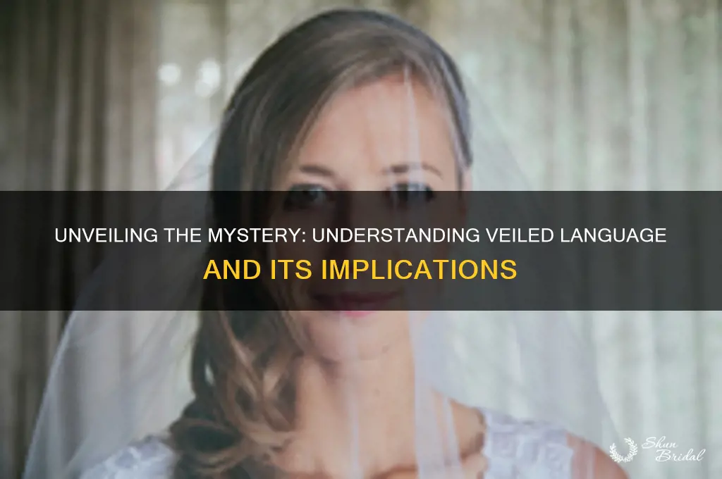 what does veiled language mean