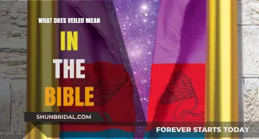 Understanding the Biblical Meaning of Veiled: Symbolism and Significance
