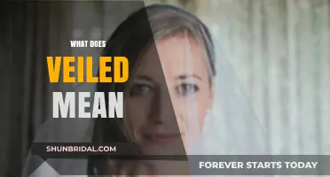 Unveiling the Mystery: What Does Veiled Truly Mean?