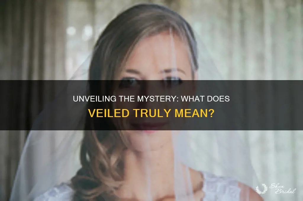 what does veiled mean