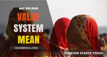 Unveiling the Hidden: Understanding the Veiled Value System Concept