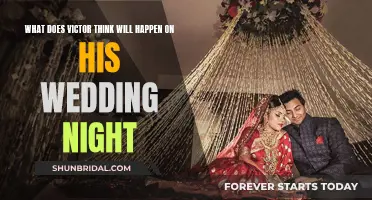 Victor's Wedding Night: His Expectations and Reality