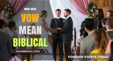 Understanding Biblical Vows: Their Meaning, Purpose, and Spiritual Significance