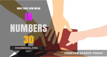Understanding the Vow in Numbers 30: A Biblical and Numerical Exploration