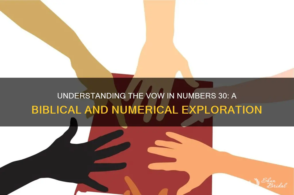 what does vow mean in numbers 30