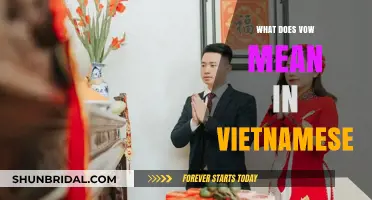 Understanding the Meaning of Vow in Vietnamese Language and Culture