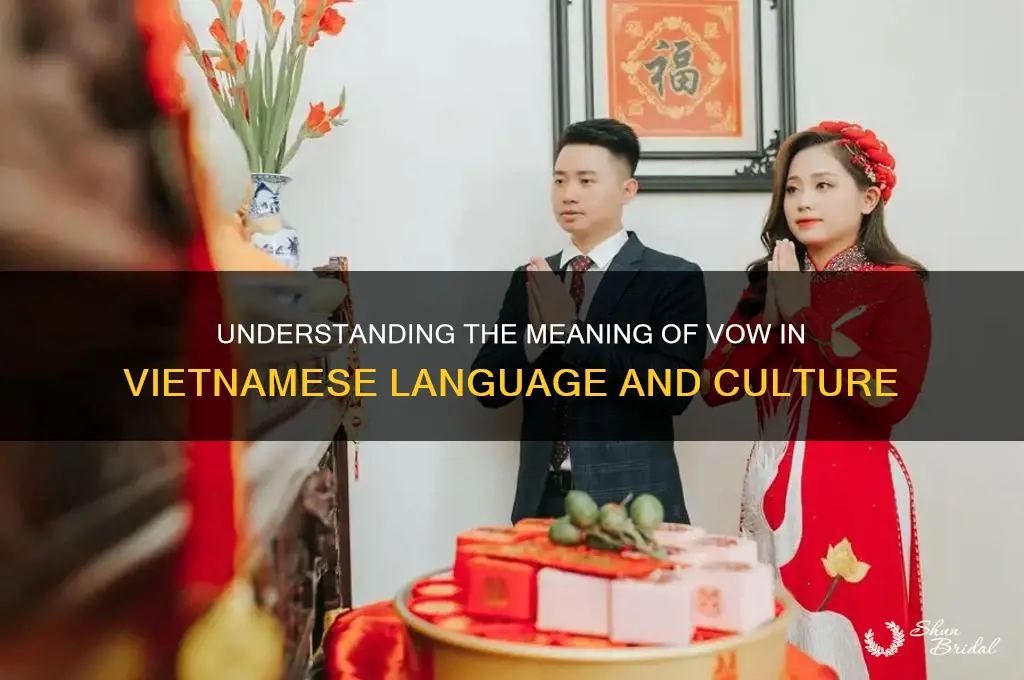 what does vow mean in vietnamese