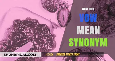 Understanding Vow Synonyms: Exploring the Meaning and Alternatives