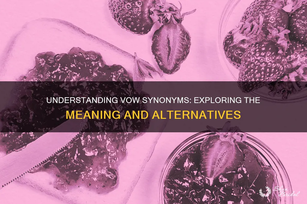 what does vow mean synonym