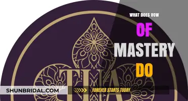 Understanding the Vow of Mastery: Effects, Benefits, and Gameplay Impact