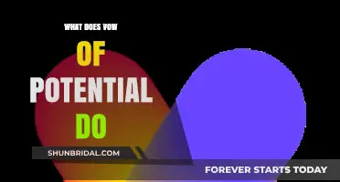 Understanding the Vow of Potential: Mechanics, Benefits, and Strategic Use