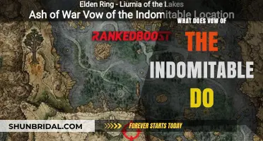 Vow of the Indomitable: Unlocking Resilience and Power in Combat