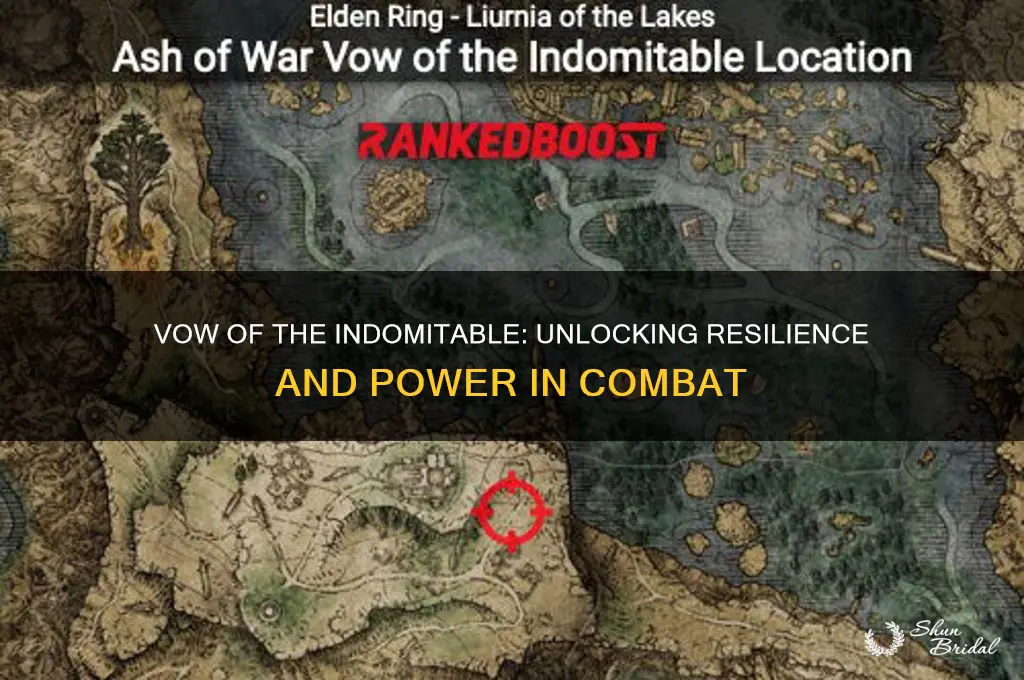 what does vow of the indomitable do