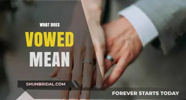 Understanding the Meaning and Significance of Vowed Commitments