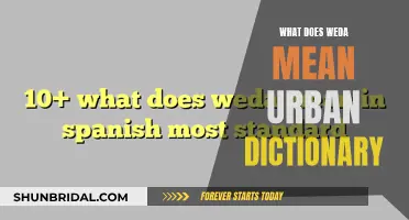 The Many Meanings of "Weda": A Dive into Urban Slang