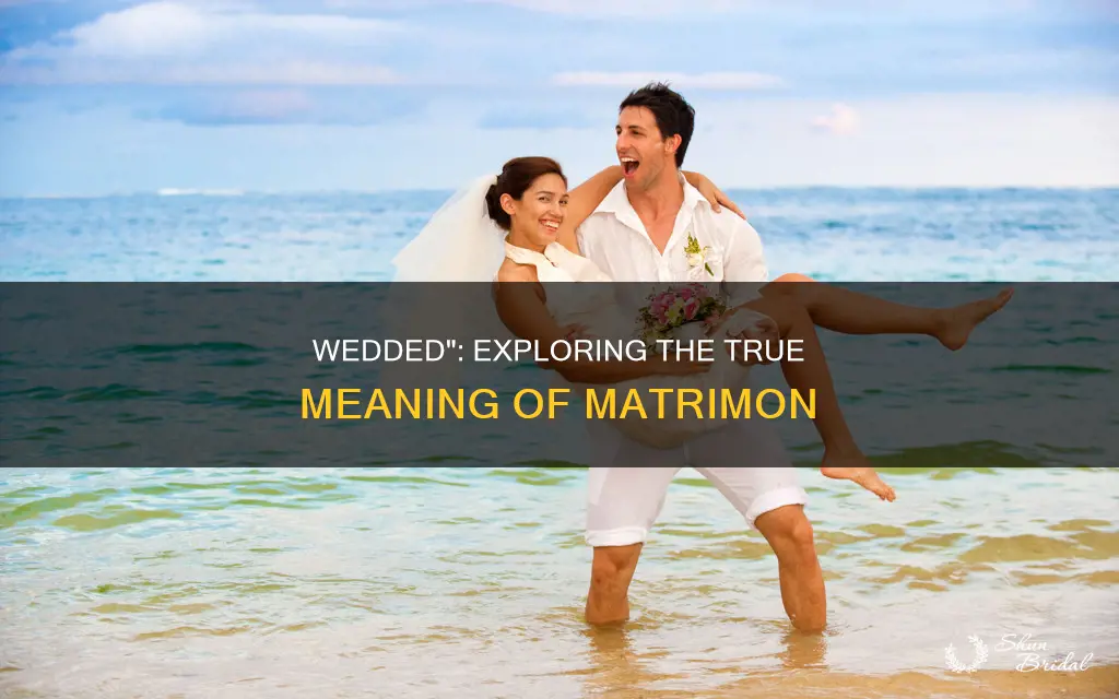 what does wedded mean