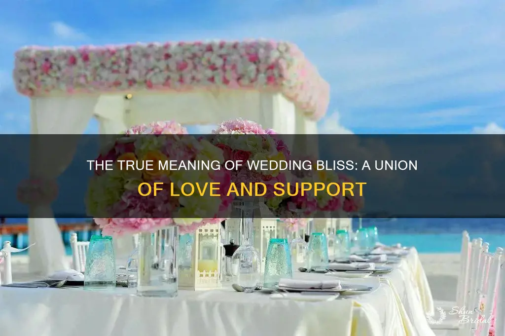 what does wedding bliss mean