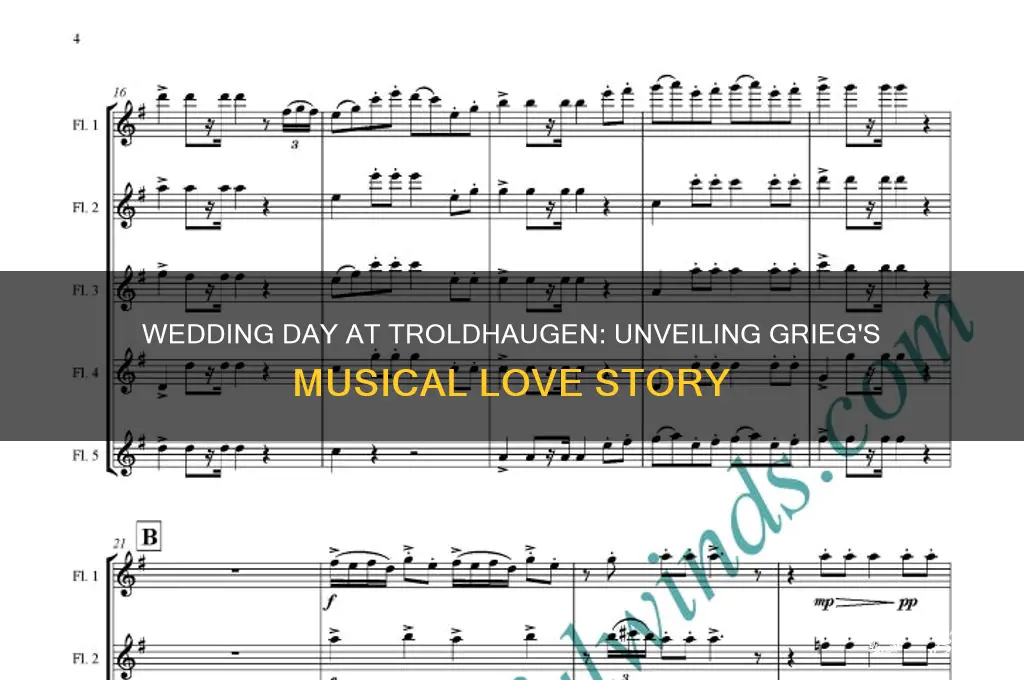 what does wedding day at troldhaugen song convey